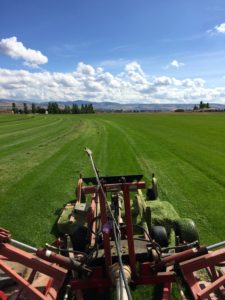 A grassy field from the top of a machine.