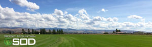 A grassy field under a blue sky. The company logo is in the bottom right corner.