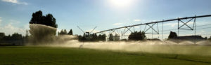 Industrial sprinkler watering a grassy field.