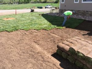 Sod being laid in a yard. One man in a neon green shirt is working with the sod. Part of the yard is exposed dirt with a pallet of sod in it ready to be laid.