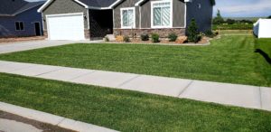 A house with a sod yard. There is a sidewalk running through the yard.