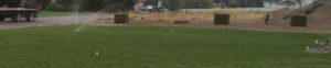 A sod lawn being watered. A dirt patch on the far side has several pallets of sod waiting to be laid.