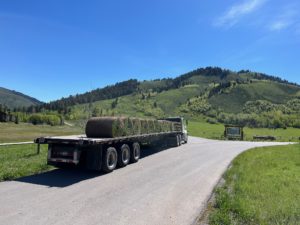 A flatbed semi truck loaded with sod.