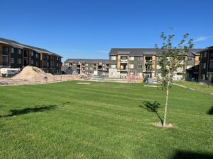 An new apartment complex with a new sod lawn.